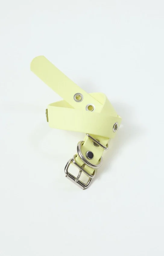 Collar para perro AMV DOGS. Referencia: COLLIERCHIENH26