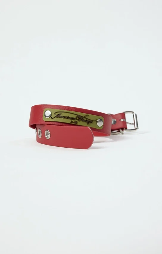 Collar para perro AMV DOGS. Referencia: COLLIERCHIENH26