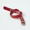 Collar para perro AMV DOGS. Referencia: COLLIERCHIENH26