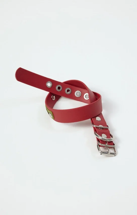Collar para perro AMV DOGS. Referencia: COLLIERCHIENH26