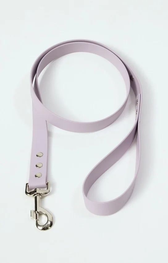 Correa para perros AMV DOGS. Referencia: LAISSECHIENH26