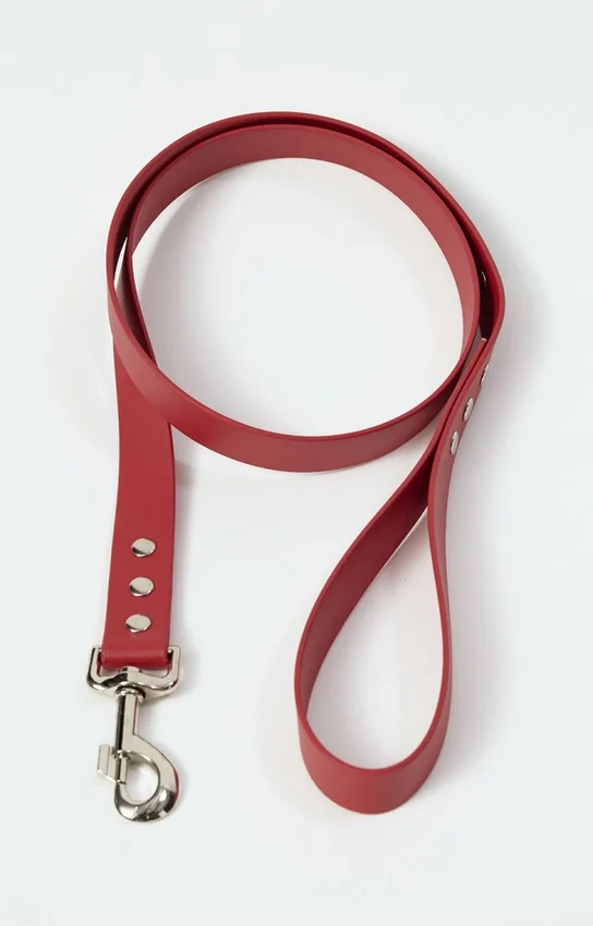 Correa para perros AMV DOGS. Referencia: LAISSECHIENH26
