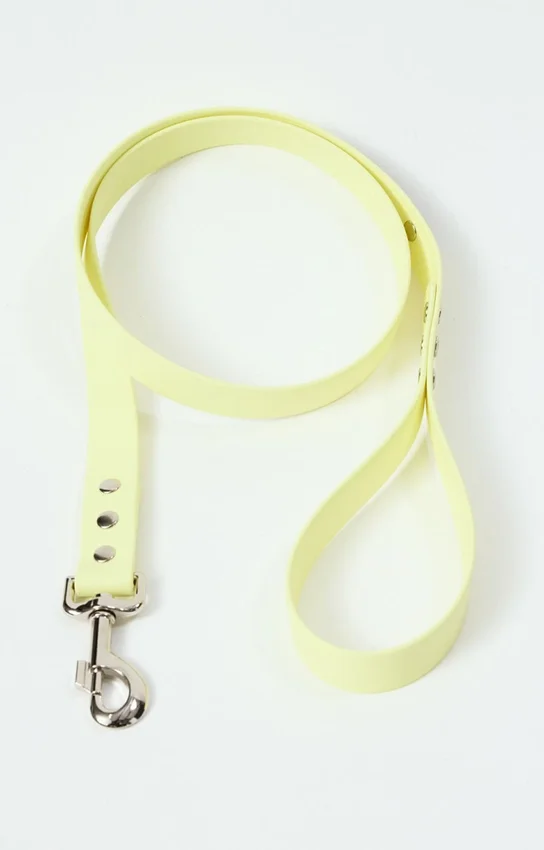 Correa para perros AMV DOGS. Referencia: LAISSECHIENH26