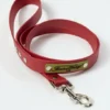 Correa para perros AMV DOGS. Referencia: LAISSECHIENH26