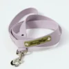 Correa para perros AMV DOGS. Referencia: LAISSECHIENH26