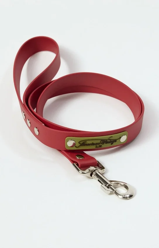 Correa para perros AMV DOGS. Referencia: LAISSECHIENH26