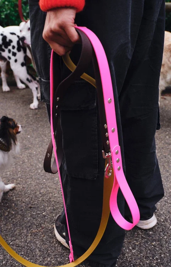 Correa para perros AMV DOGS. Referencia: LAISSECHIENH26