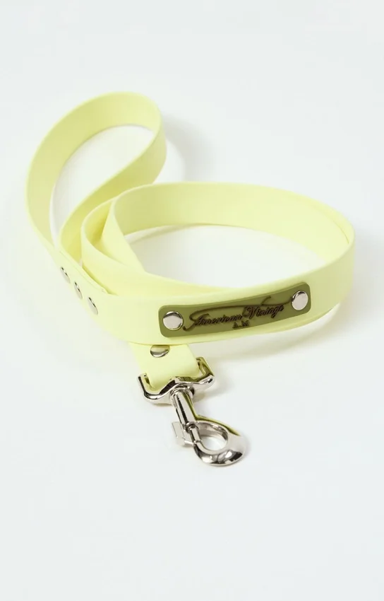 Correa para perros AMV DOGS. Referencia: LAISSECHIENH26