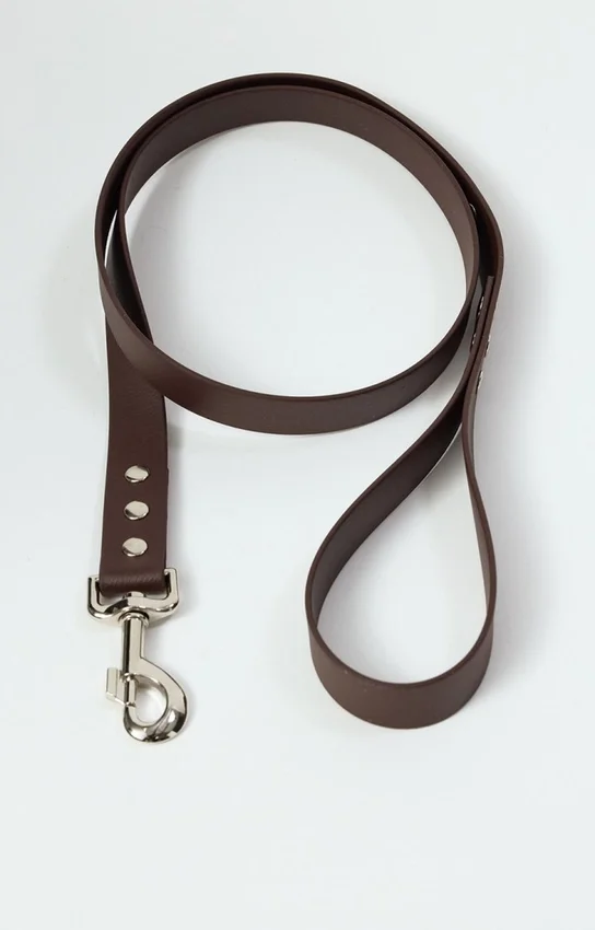 Correa para perros AMV DOGS. Referencia: LAISSECHIENH26