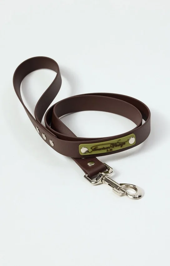 Correa para perros AMV DOGS. Referencia: LAISSECHIENH26