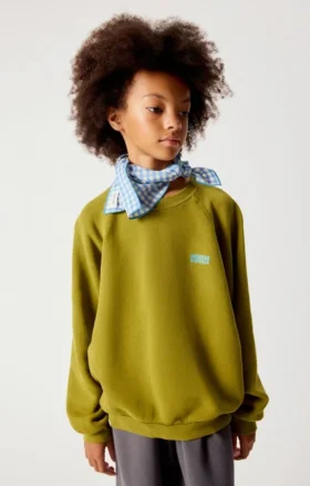 Sudadera infantil Izubird Referencia: KIZU03BH26