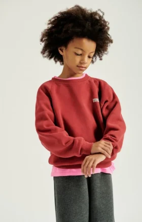 Sudadera infantil Izubird Referencia: KIZU03BH26