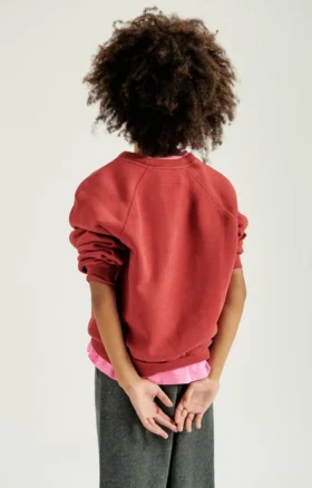 Sudadera infantil Izubird Referencia: KIZU03BH26