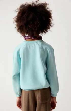 Sudadera infantil Izubird Referencia: KIZU03BH26