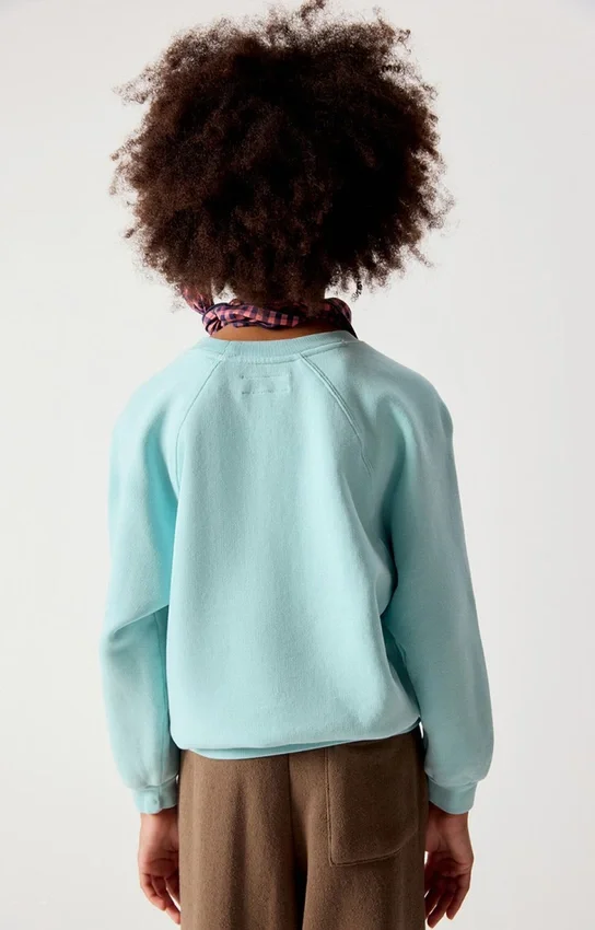Sudadera infantil Izubird Referencia: KIZU03BH26
