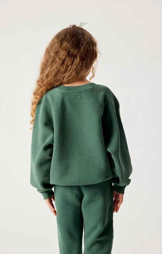 Sudadera infantil Izubird Referencia: KIZU03BH26