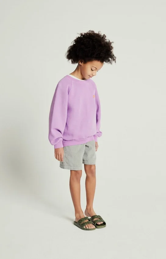 Sudadera infantil Izubird Referencia: KIZU03BH26