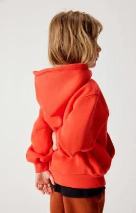 Sudaderas con capucha para niños Izubird Referencia: KIZU03AH26